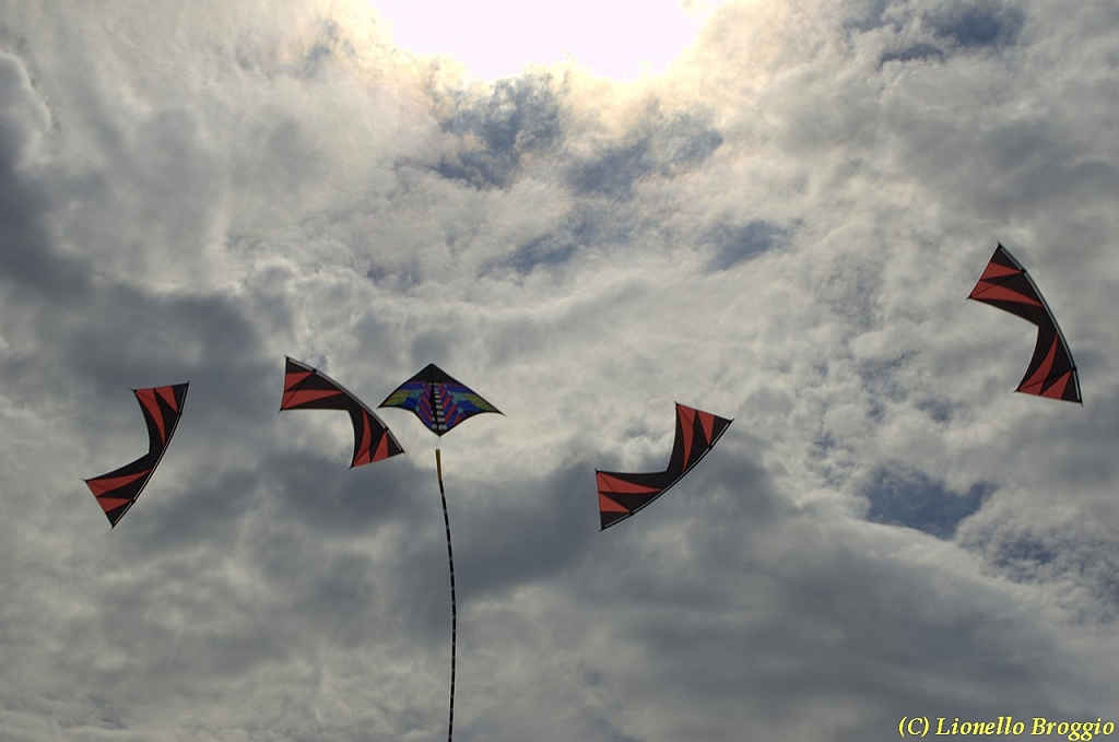 32 FESTIVAL CERVIA 2012 - 271.jpg
